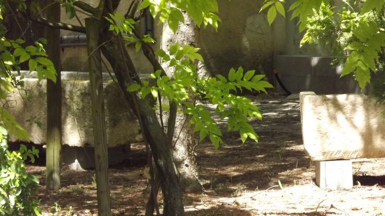 La Bastide Bed & Breakfast Cavaillon Bagian luar foto
